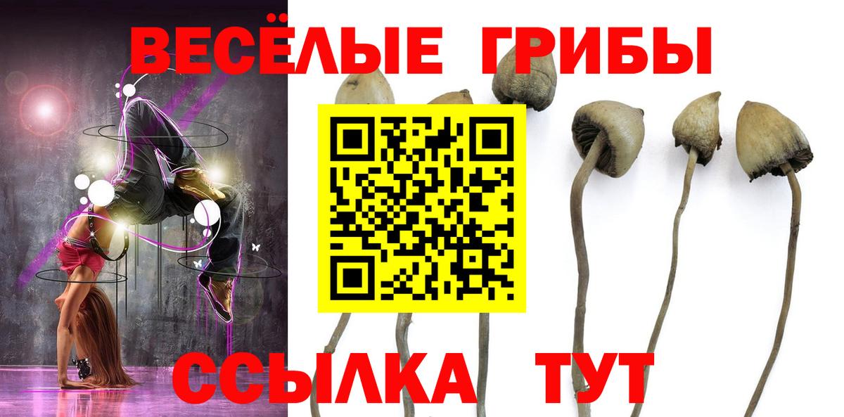 Псилоцибиновые грибы ЛСД  Вход с VPN  Усть-Джегута  Псилоцибиновые грибы MAGIC MUSHROOMS 